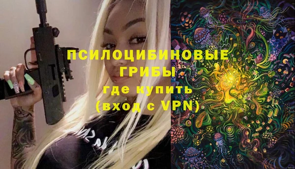 первитин Арсеньев
