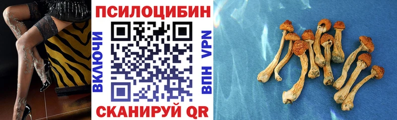Псилоцибиновые грибы Psilocybine cubensis  MEGA ТОР  Мелеуз 